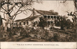 The Old Murphy Homestead Postcard