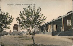 Sunnyvale Cannery Postcard