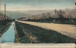 view of Country Road and Interurban Electric R.R. Postcard