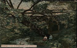 Saratoga Creek & Bridge Postcard