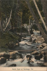 Quiet Spot Postcard