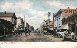 University Avenue Postcard