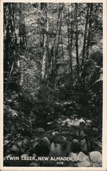 Twin Creek Postcard