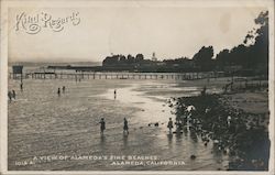 A View of Alameda's Fine Beaches Postcard