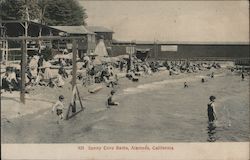 Sunny Cove Baths Postcard