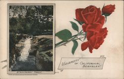 University of California Berkeley - Strawberry Creek Postcard