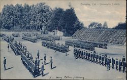 Stock #732501 Thumbnail