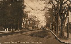 Looking East on Fruitvale Ave. Postcard