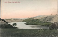Lake Chabot Postcard
