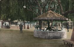 Under the Willows, Yoora Park Postcard