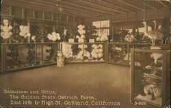 Salesroom and Office, The Golden State Ostrich Farm Postcard