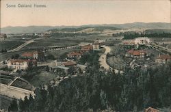 Some Oakland Homes Postcard