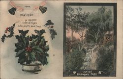 Canyon Piedmont Park Postcard