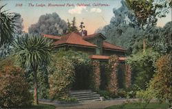 The Lodge, Mosswood Park Postcard