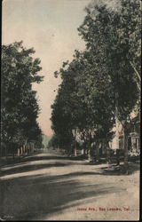 Juana Ave. Postcard