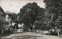 Street Scene Postcard
