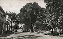 Street Scene San Lorenzo, CA Postcard Postcard Postcard