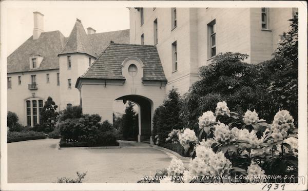 Rhododendron At Entrance, C.S. Sanatorium San Francisco California