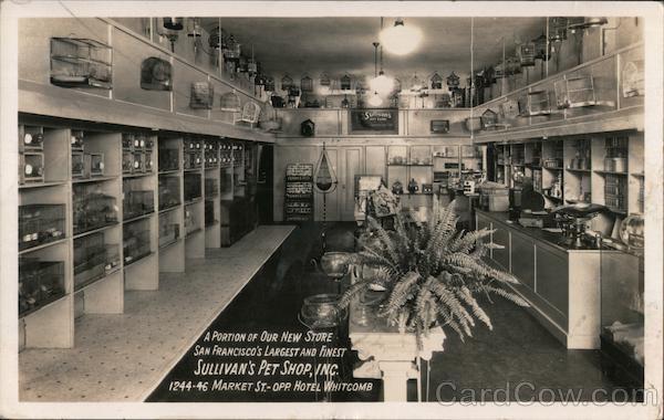 Sullivan's Pet Shop, Inc., A Portion of Our New Store San Francisco California