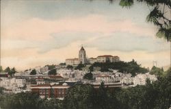 San Francisco College for Women, View from Buena Vista Terrace Lone Mountain California Postcard Postcard Postcard