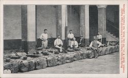 Buying Havanna Tobacco for LA NATIVIDAD Cigar Factory Postcard