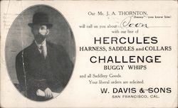 W. Davis & Sons - Harness, Saddles, Collars, Buggy Whips Postcard