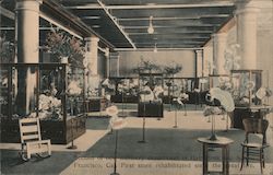 Section of New Millinery Department, Hale Bros. Postcard