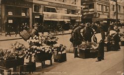 Flower Sellers, Market & Kearny Postcard