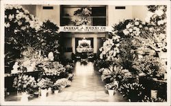 Angelo J. Rossi Co. Postcard