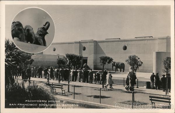 Pachyderm House - San Francisco Zoological Gardens California