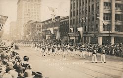 California Grays in Parade Postcard