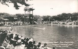 Fleishhacker Pool - Largest Warmed Pool in the World Postcard