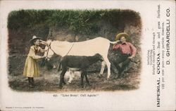 Imperial Cocoa, D. Ghirardelli Co. Postcard