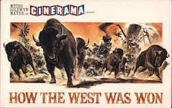 The Buffalo Stampede - Orpheum Theatre Postcard