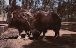 Stock #738613 Thumbnail