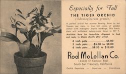 Especially for Fall-The Tiger Orchid-Rod McLellan Co. Postcard