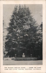 The Phineas Smoller Chapel Under the Stars Camp for Living Judaism Postcard