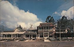 Neale's Hollow Saratoga, CA Postcard Postcard Postcard