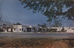 Peterson Motel Postcard