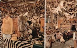 Horns of the Hunter Nordquist's Taxidermy Studio Established 1912 23800 Hesperian Blvd. Postcard