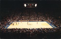 Oakland Coliseum Arena Home of the Golden State Warriors Postcard