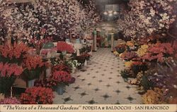 "The Voice of a Thousand Gardens" - Podesta & Baldocchi Postcard