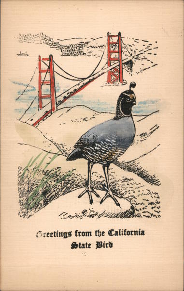 Greetings from the California State Bird - Hand Colored San Francisco