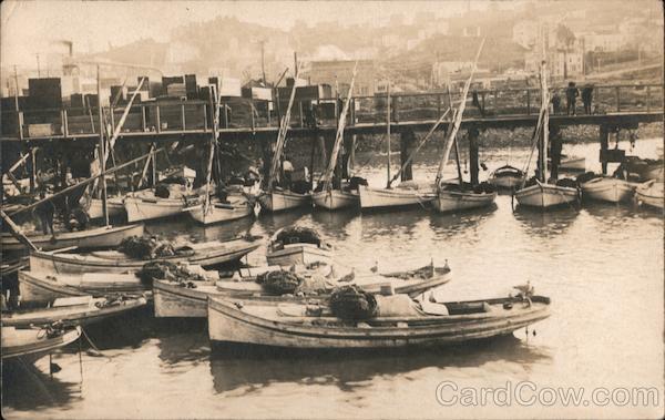 Sailboats at the Dock San Francisco California