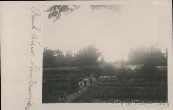 View of Park San Francisco California