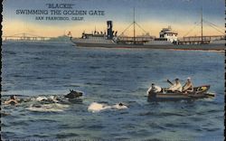 "Blackie" Swimming the Golden Gate Postcard