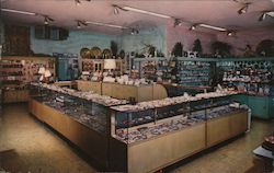 Sea Captain's Chest Postcard