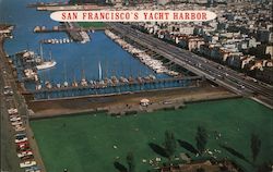 San Francisco's Yacht Harbor Postcard