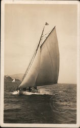 Sailboat on the Water near Alcatraz Postcard