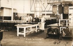 Stock #742691 Thumbnail